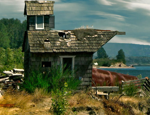 The Old Man by the Sea