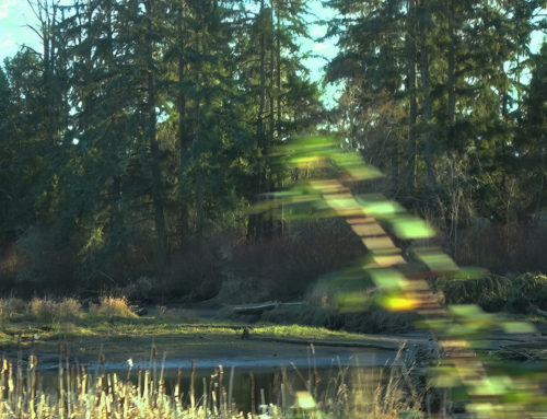 Stairway to Fairyland