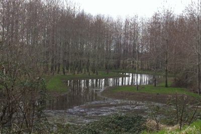 I Give You Life (Photo)