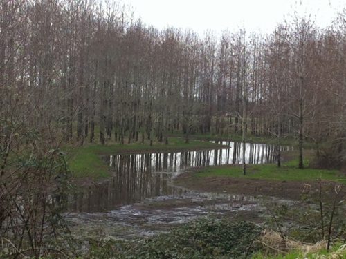 I Give You Life (Photo)