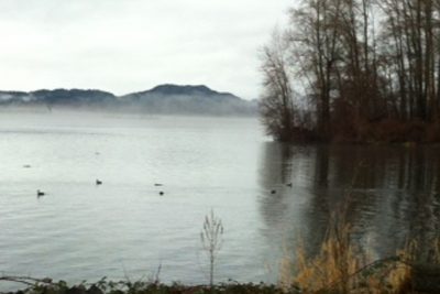 From the Mist (Photo)