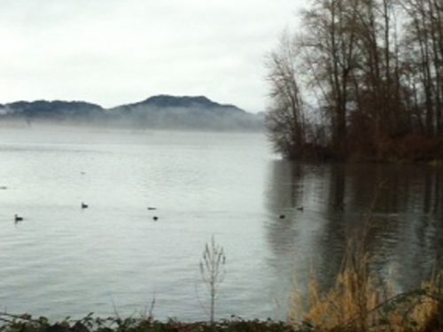 From the Mist (Photo)