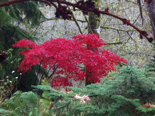 Equinox Magic (Photo)