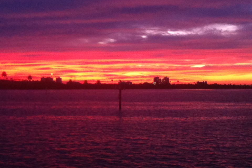 LN_095 Luster Lets Loose (Photo)