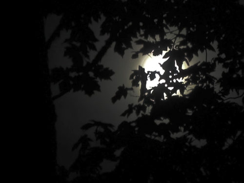 Beyond Darkness - Photo