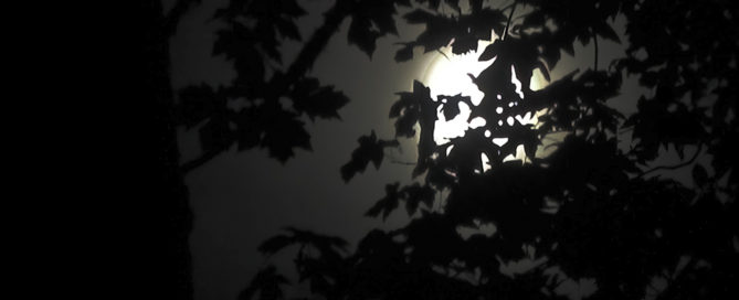 Beyond Darkness - Photo