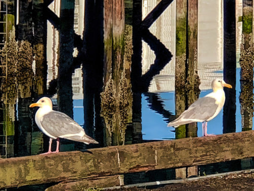 Gertrude and Heathcliff