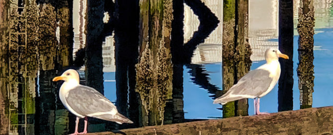 Gertrude and Heathcliff