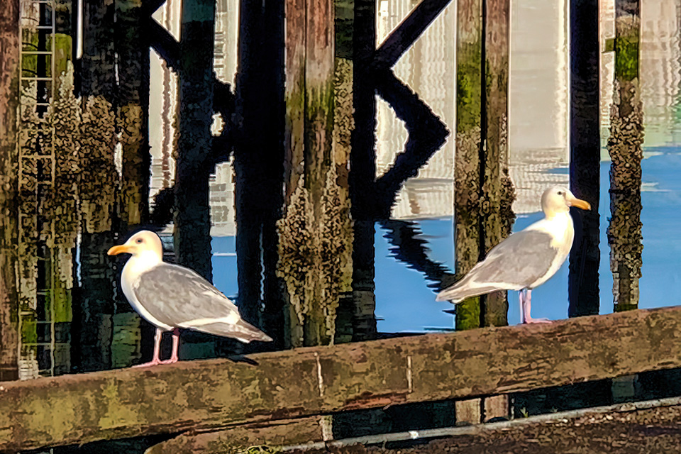 Gertrude and Heathcliff
