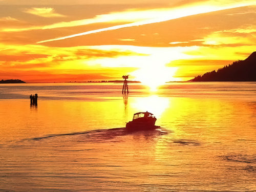 Golden Dreams - Photo