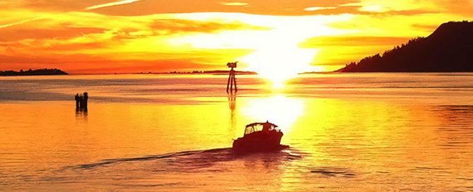 Golden Dreams - Photo