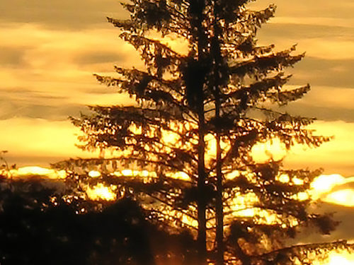 I Give You My Heart (Photo)