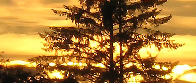 I Give You My Heart (Photo)