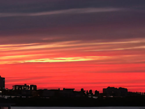 Night’s Hope (Photo)