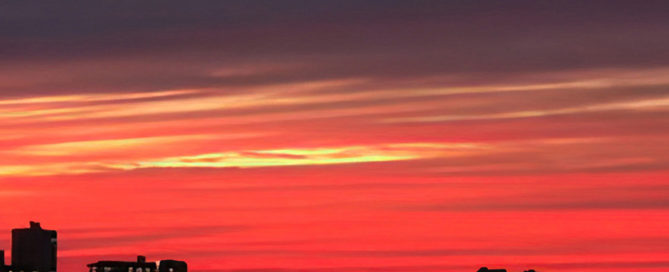 Night’s Hope (Photo)