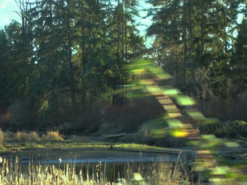 Stairway to Fairyland