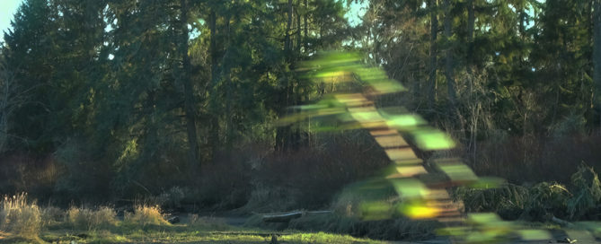 Stairway to Fairyland